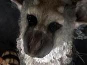 Last Guardian sarà diffuso PS4, dice Sony"