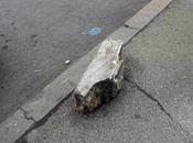 L’oggetto misterioso