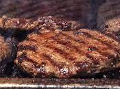 Carne cavallo negli hamburger nelle lasagne rischio sulla salute fenilbutazone