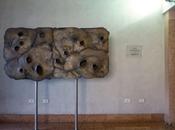 Planimetria vitale Gino Bogoni