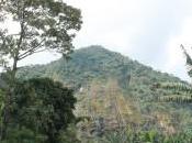 primo viaggio reflex