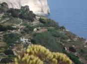 Dingli