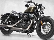 Harley-Davidson Forty-Eight Sweet 70′s 2013