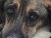 Lorenzo Landino accascia muore davanti all’ufficio postale