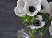 bianco nero