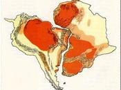 Malabo (Guinea Equatoriale) /Cooperazione Africa- Sud-America