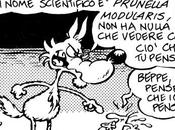 L'Italia delle Puttane affida alla Passera