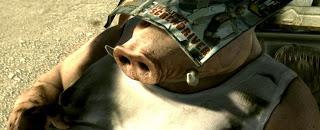 Beyond Good Evil "sta arrivando"