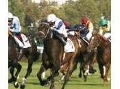 Carne cavallo negli alimenti, male corsa. sono steroidi ormoni