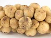 Capodanno dagli occhi mandovla