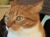 elezioni 2013- REAZIONI