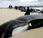 Cile Trovate venti carcasse orche spiaggiate causa un'isolita bassa marea