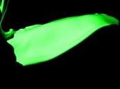 Free Paint Splatter Brushes Photoshop