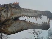 Arrivano monza “dinosauri carne ossa”