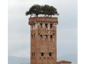 SaliròSulla torre altaTantissimi gradini arrivare...