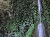 Vallone Porto Positano capre allo sbaragio