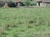 Arte rupestre Kondoa.