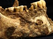 Altro dieta mediterranea!