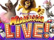 Gardaland: marzo nuova stagione Madagascar live!It’s circus time