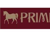 …Primitives Horses Ohio…