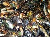 Cozze!!!