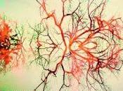 Segnalazioni: ANGER marzo libreria