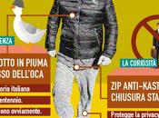 Infografica franka giubbotto Bebbe Grillo