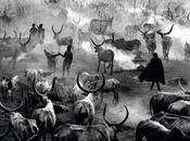 Sebastiao Salgado Roma