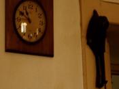 AKAMOI, Akamoi.Kæru