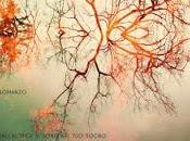 Recensione: Anger