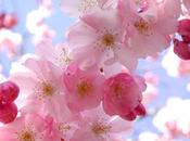 Omaggio alla natura risveglia…