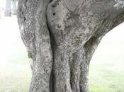 primavera alle porte natura perde tempo!