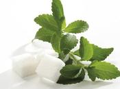 Bio-prodotti: Stevia, dolcificante naturale