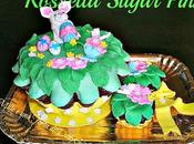 Maxi mini muffin cioccolato cocco