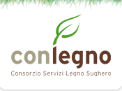 sito visitare: conlegno