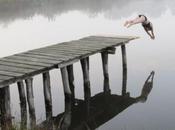 Full immersion into creativity