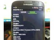 Samsung Galaxy (S4) I9502 video specifiche