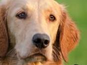 Trucchi professionista della photography