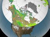 Clima: causa dell'effetto serra aumenta vegetazione delle zone artiche polari