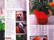 Nuovo look vasi _Casa fiore marzo