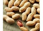 sostanze nutrienti contenute nelle arachidi
