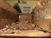 Foto giorno dicembre 2010 vendita bara oswald l'assassino kennedy