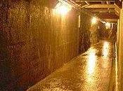 Altri segnali bunker