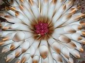 Ghirlande carta colorate