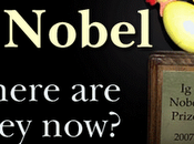 "itaglia" terra cachi: premio catania