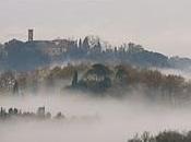 sale nebbia