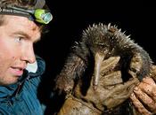 FOTO GIORNO DICEMBRE 2010 ANIMALI STRANI PIANETA