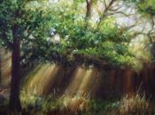 Doppia luce