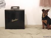 Borsalino