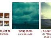 Foto della settimana